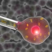 electrophysiology electrophysiology